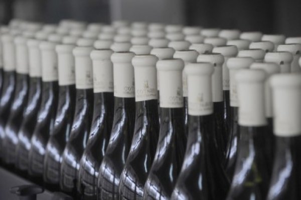 Vinurile de Cotnari, medaliate în Canada
